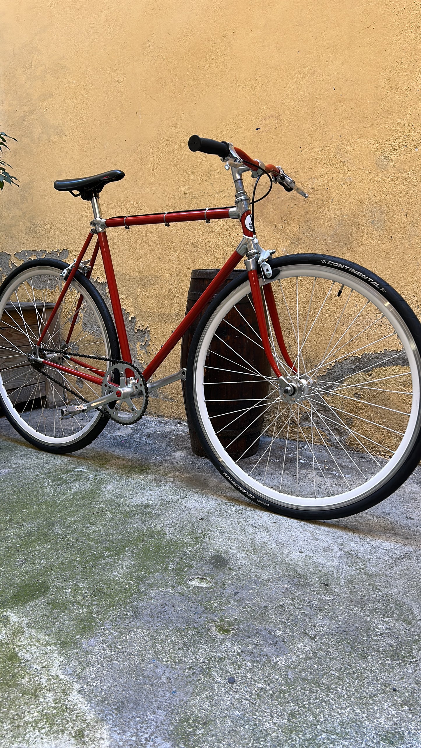 Vélo Singlespeed - Alan - 55cm