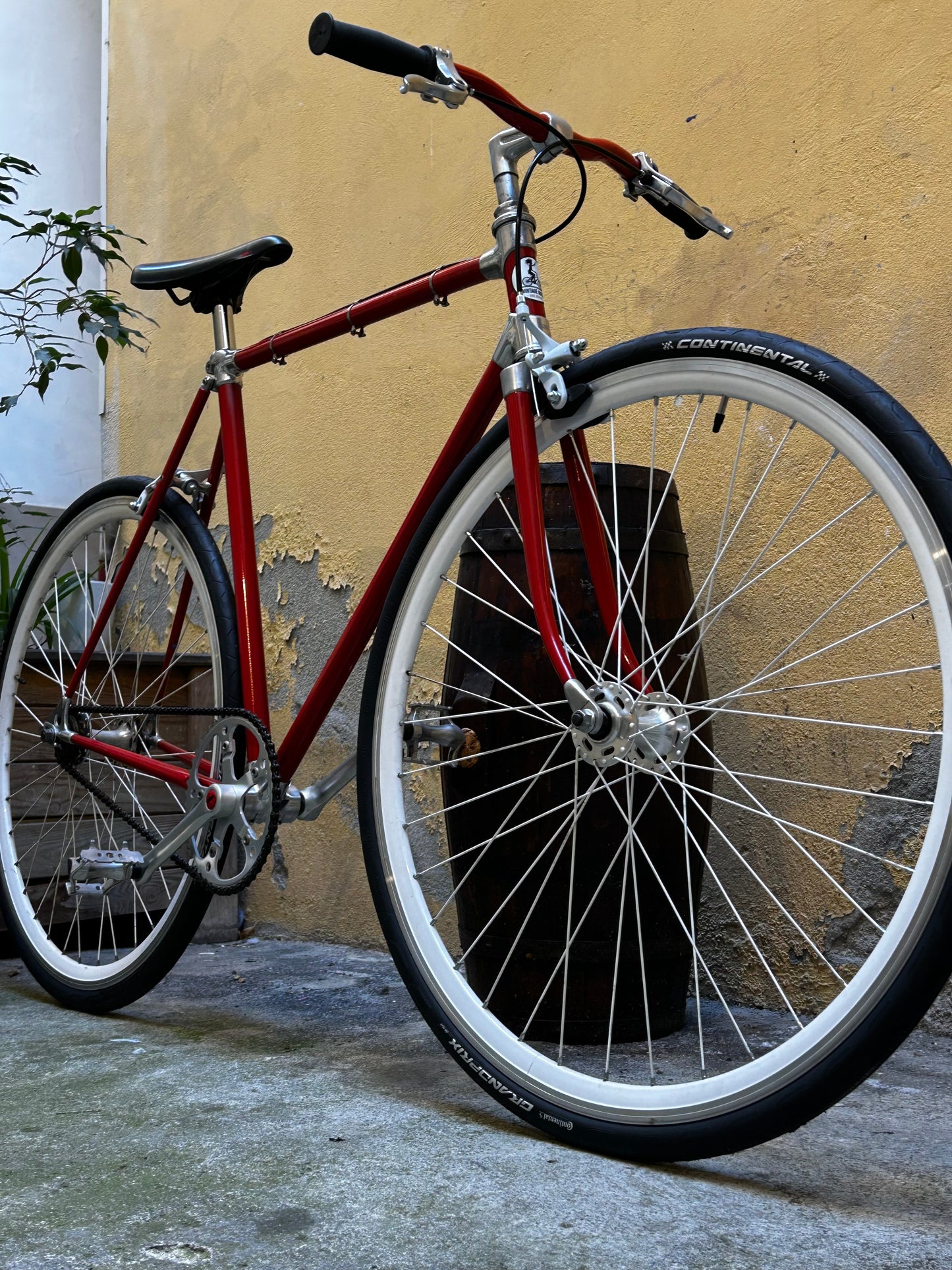 Vélo Singlespeed - Alan - 55cm