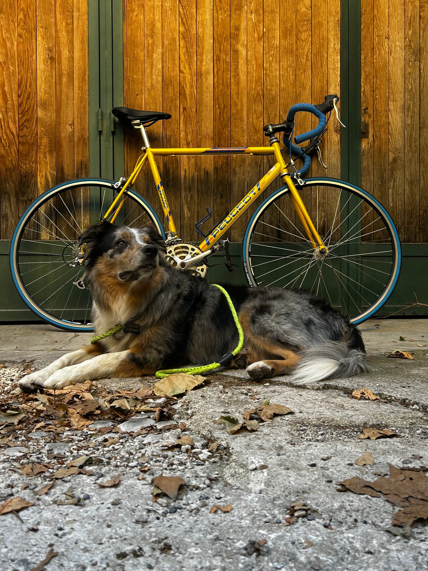 Vélo Peugeot Performance