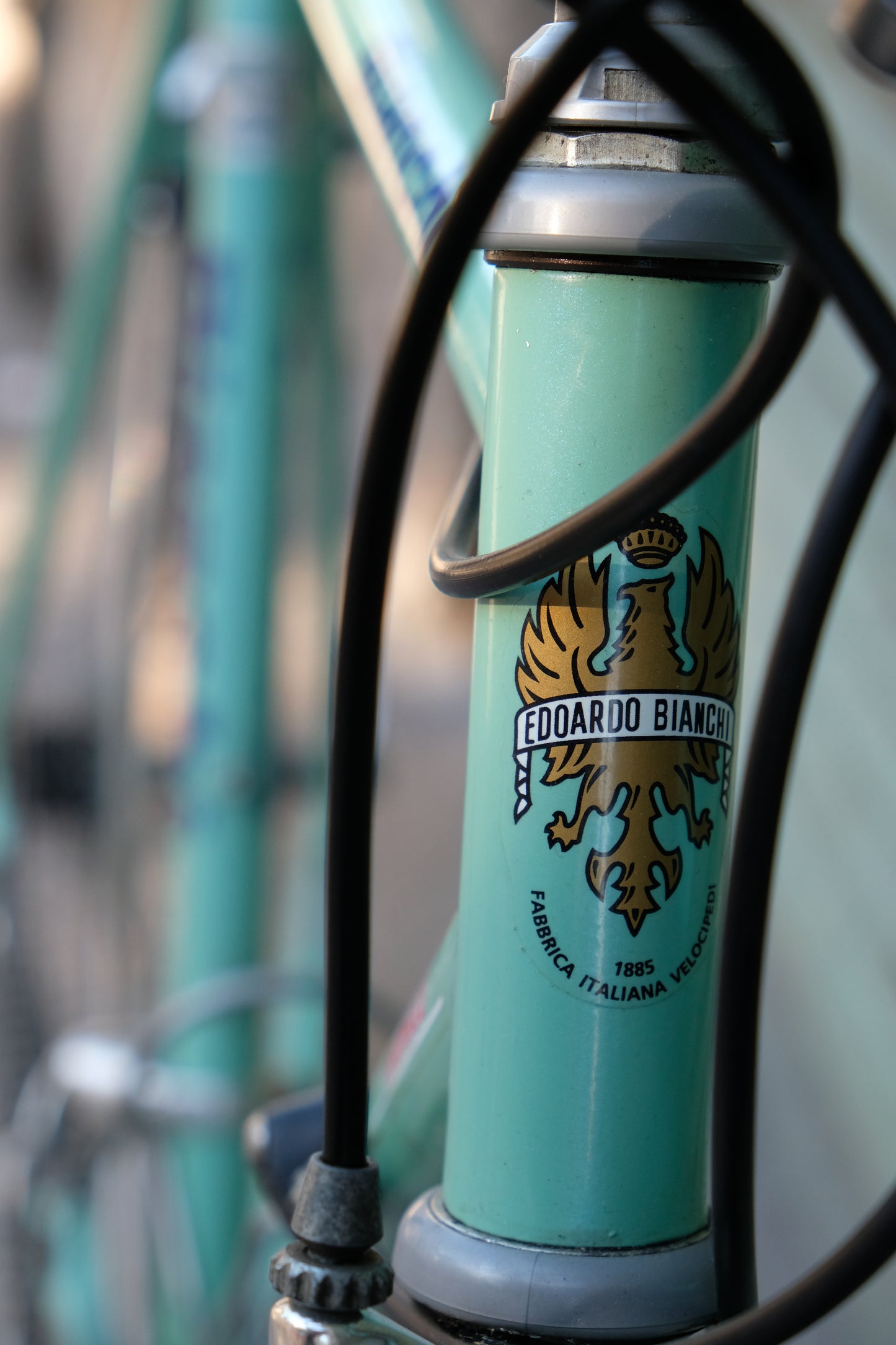 Vélo de course - Bianchi Campagnolo