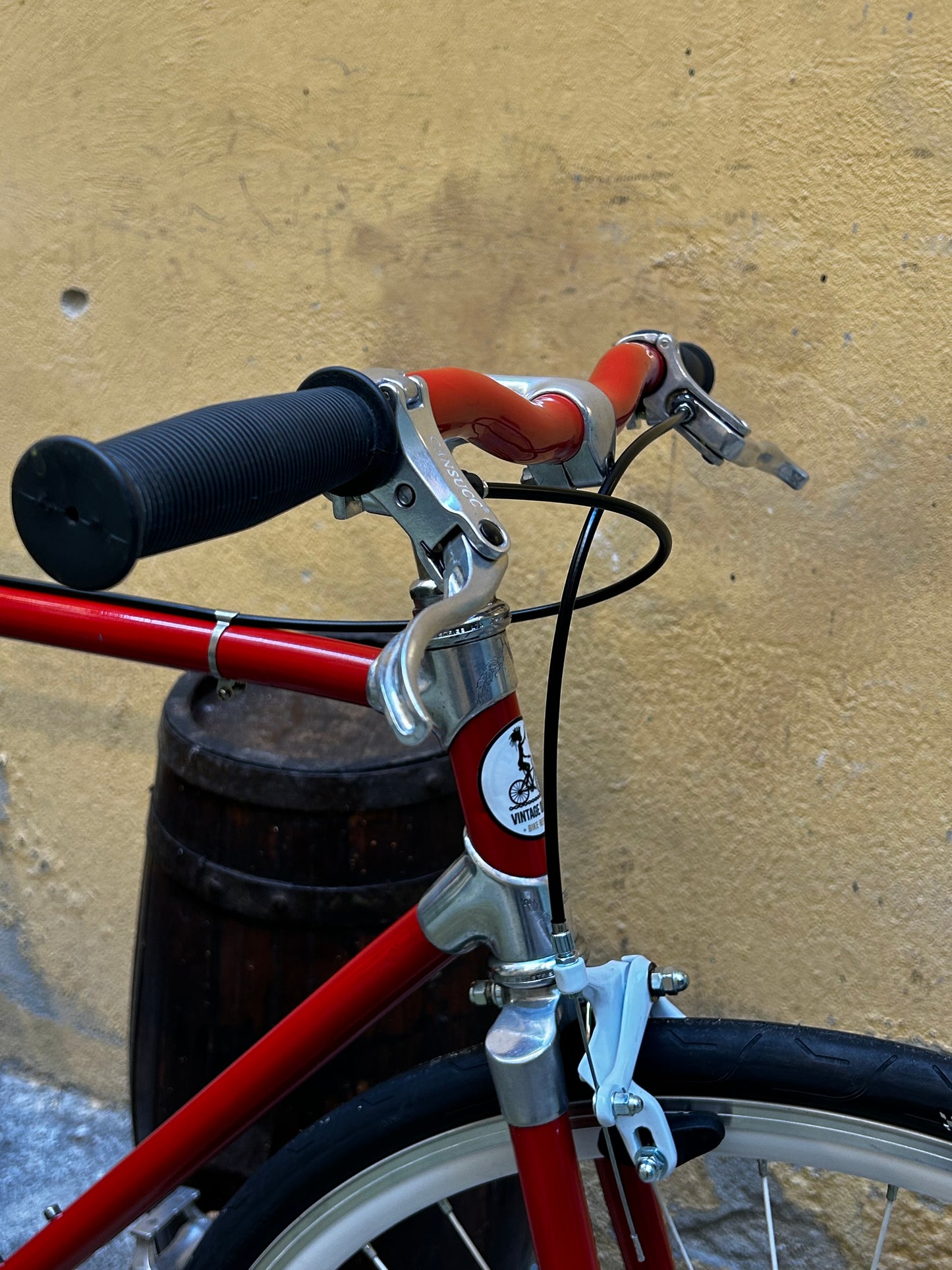 Vélo Singlespeed - Alan - 55cm