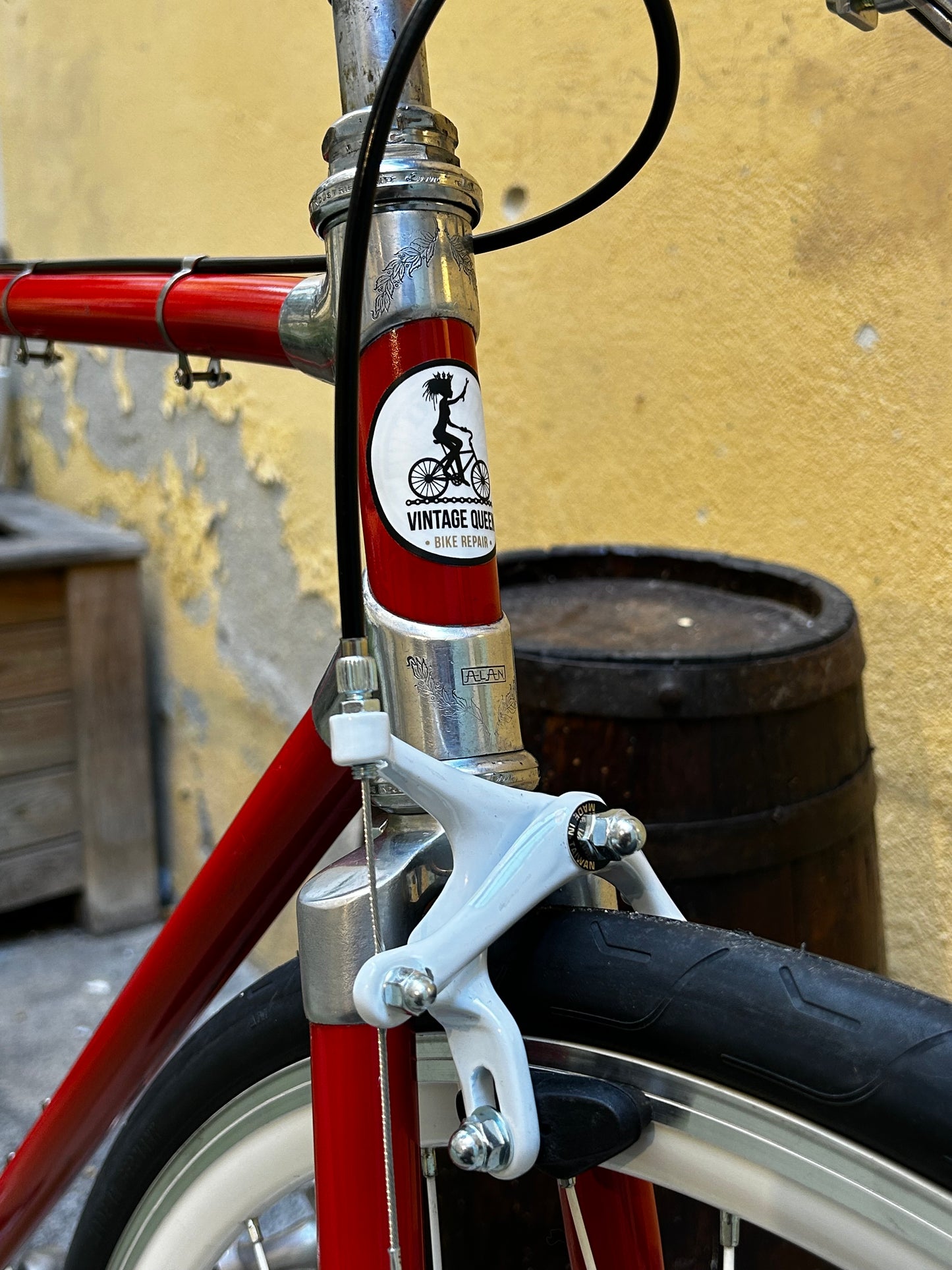 Vélo Singlespeed - Alan - 55cm